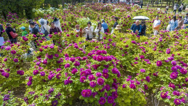 长假经济的逻辑重构:研学消费与产业转型深层解析 股票财经