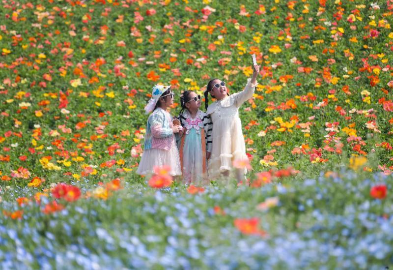 长假经济的逻辑重构:研学消费与产业转型深层解析 股票财经