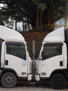  能源价格压力有所缓解；债券市场显现回暖迹象；投资者密切关注政策会议动态。 股票财经