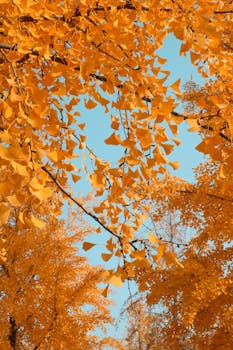  黄金市场展望：避险需求持续升温，板块估值修复空间显现。 股票财经 黄金市场展望：避险需求持续升温，板块估值修复空间显现。 股票财经