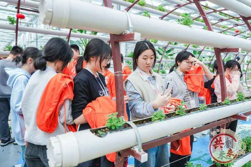  华东无人机基地深度探访：金山如何用科技创新征服香港青年 文化旅游