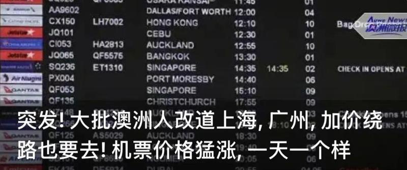  【深度复盘】堪培拉种族袭击事件：安全防身策略与法律应对全指南 新闻