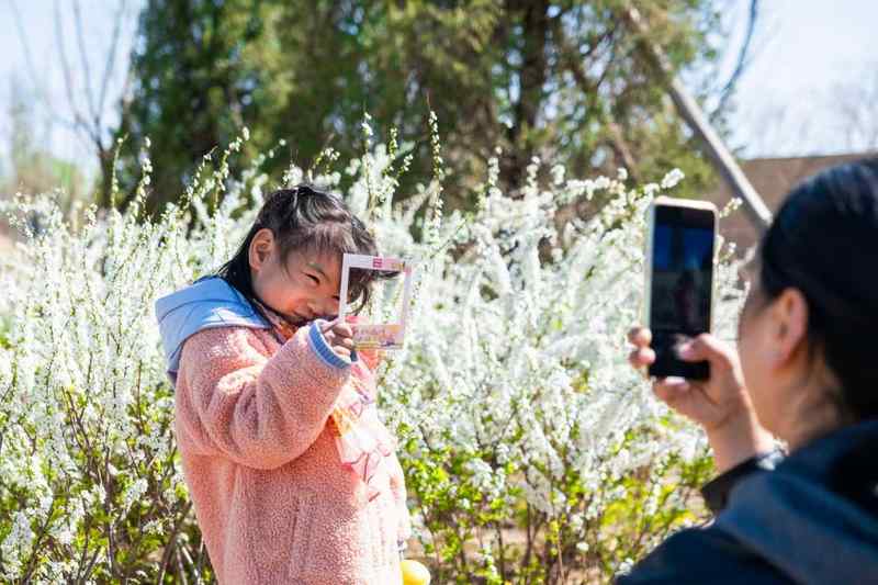  从87万客流洞察北京公园服务升级：网约车引导系统技术拆解 新闻