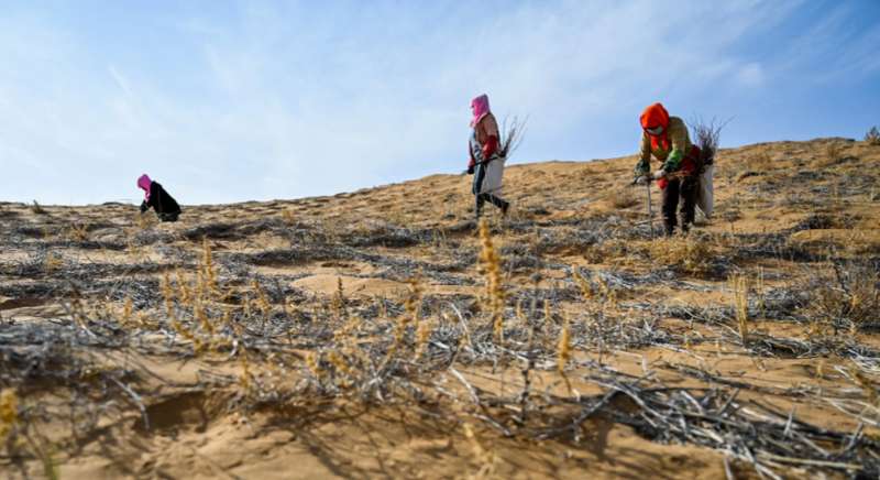  从宗日遗址到筷子革命：一场跨越四千年的餐具迭代启示录 文化旅游