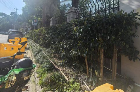  【技术视角】党建引领下的社区微更新：虹口精细化治理的实践方法论 房产家居