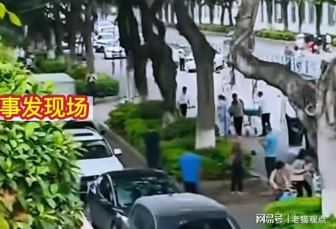 那个周末的清晨,水头镇的阳光再也照不到他们身上 情感心理