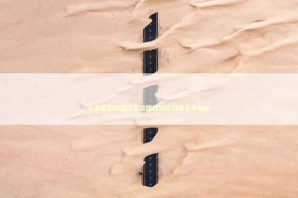 从迷茫到精通我是这样找到正规安全平台的 IT技术