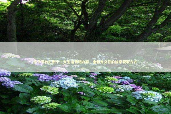 这个平台汇聚十二大生活领域内容，重新定义你的信息获取方式 新闻