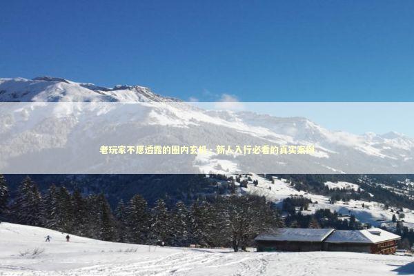 老玩家不愿透露的圈内玄机，新人入行必看的真实案例 新闻