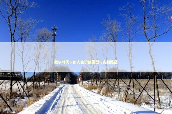 数字时代下的人生价值重塑与实践路径 情感心理