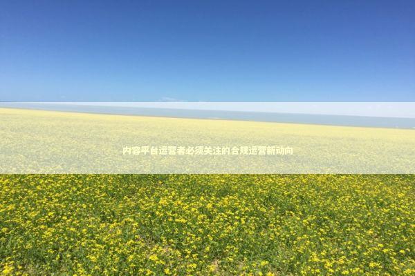 内容平台运营者必须关注的合规运营新动向 IT技术