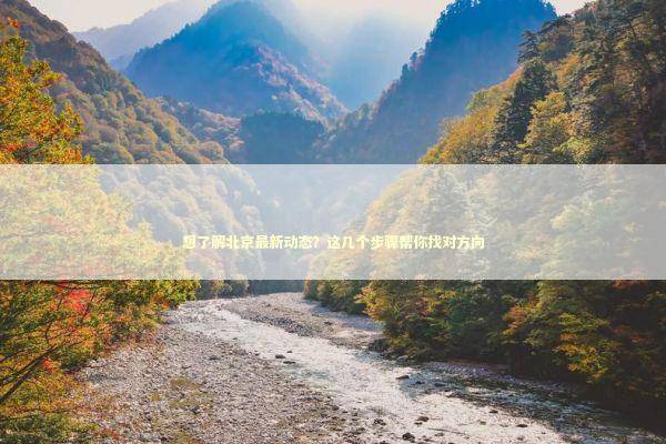 想了解北京最新动态？这几个步骤帮你找对方向