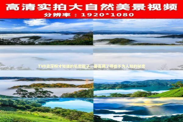 TVB资深粉才知道的私密圈子，里面藏了哪些不为人知的秘密
