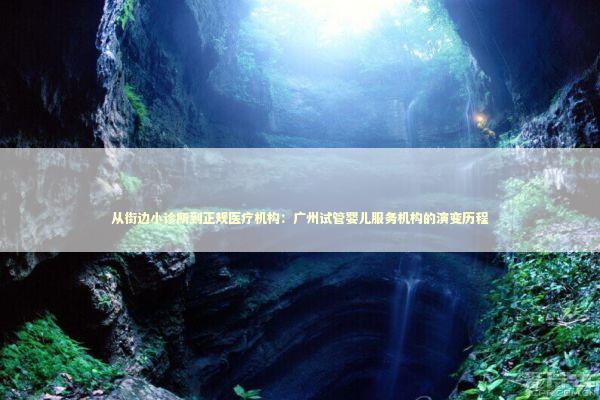 从街边小诊所到正规医疗机构：广州试管婴儿服务机构的演变历程 新闻
